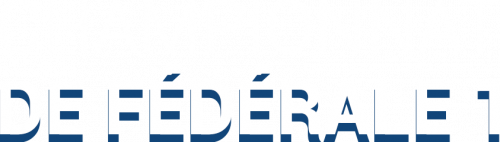 championat-500x142 championat-500x142