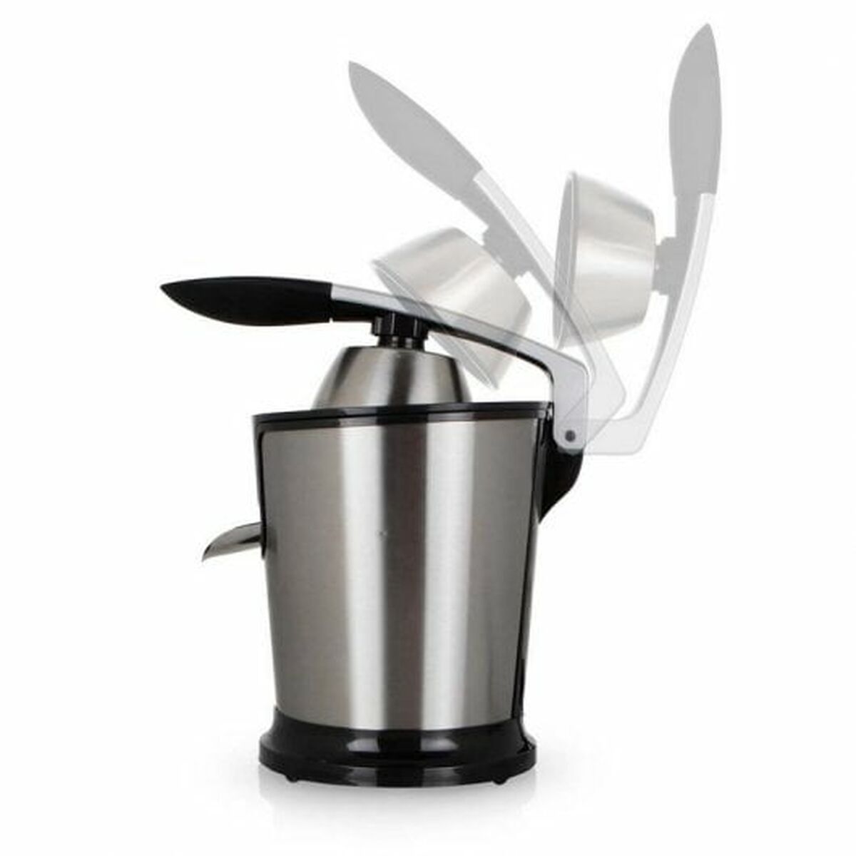 S7831069_3 S7831069_3